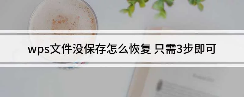 WPS不儲存後怎麼恢復